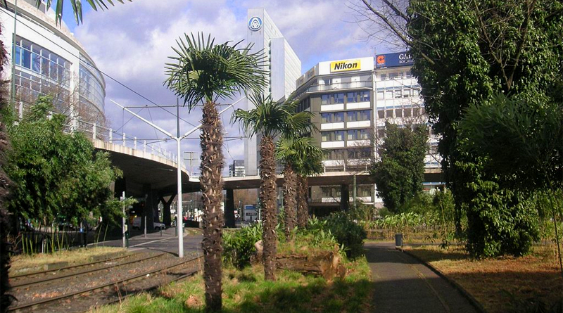 Blick von der Berliner Allee Richtung Tausendfüßler, Bepflanzung von Tita Giese